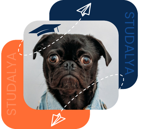 Découvrez la plateforme Studalya WEB