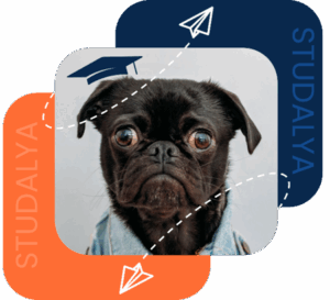 Découvrez Studalya WEB pour lancer WordPress et PrestaShop pour vos BTS NDRC