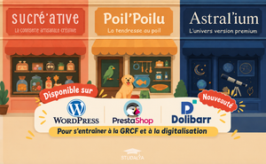 3 entreprises fictives pour former vos BTS GPME à la GRCF
